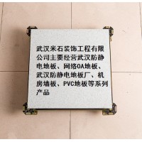 武汉防静电地板、网络OA地板、武汉防静电地板厂、机房墙板、PVC地板
