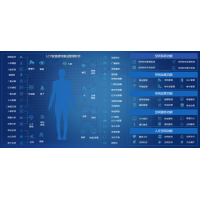 系统集成软件（IBMS）